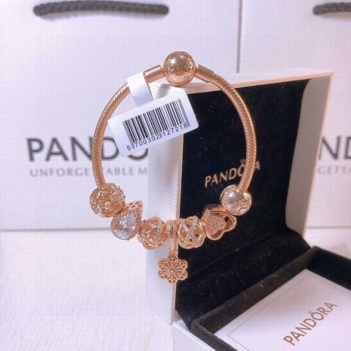 Picture of Pandora Bracelet 1 _SKUPandorabracelet17-21cm11251713449